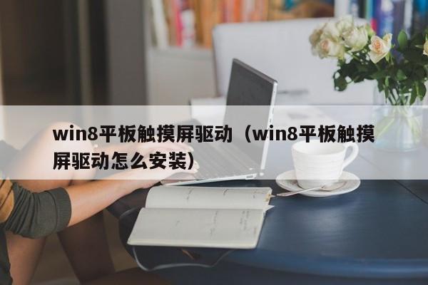 win8平板觸摸屏驅(qū)動(dòng)（win8平板觸摸屏驅(qū)動(dòng)怎么安裝）-第1張圖片-晉江速捷自動(dòng)化科技有限公司