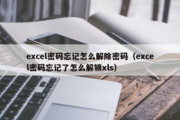 excel密碼忘記怎么解除密碼（excel密碼忘記了怎么解鎖xls）-第1張圖片-晉江速捷自動化科技有限公司