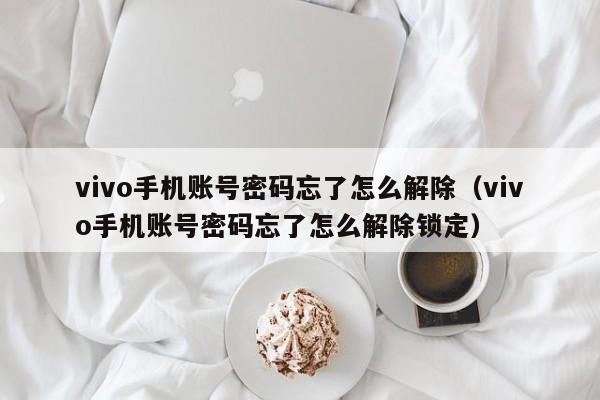 vivo手機賬號密碼忘了怎么解除（vivo手機賬號密碼忘了怎么解除鎖定）-第1張圖片-晉江速捷自動化科技有限公司