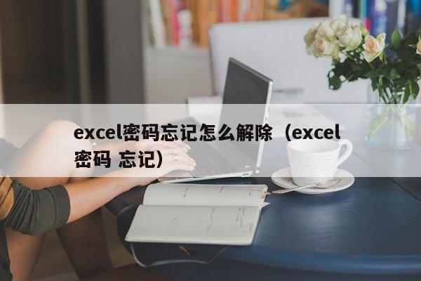 excel密碼忘記怎么解除（excel 密碼 忘記）-第1張圖片-晉江速捷自動化科技有限公司