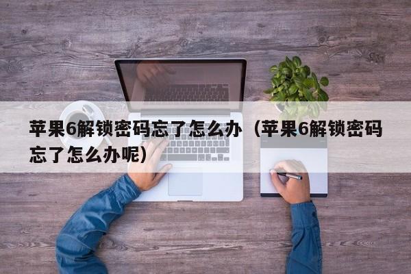 蘋果6解鎖密碼忘了怎么辦（蘋果6解鎖密碼忘了怎么辦呢）-第1張圖片-晉江速捷自動化科技有限公司
