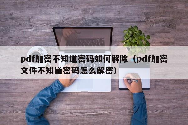 pdf加密不知道密碼如何解除（pdf加密文件不知道密碼怎么解密）-第1張圖片-晉江速捷自動化科技有限公司