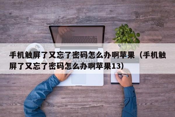 手機觸屏了又忘了密碼怎么辦啊蘋果（手機觸屏了又忘了密碼怎么辦啊蘋果13）-第1張圖片-晉江速捷自動化科技有限公司