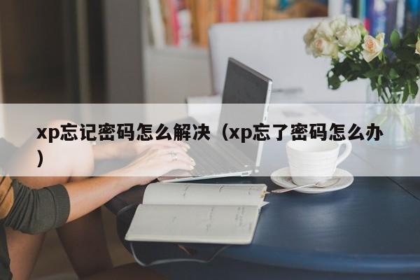 xp忘記密碼怎么解決（xp忘了密碼怎么辦）-第1張圖片-晉江速捷自動化科技有限公司