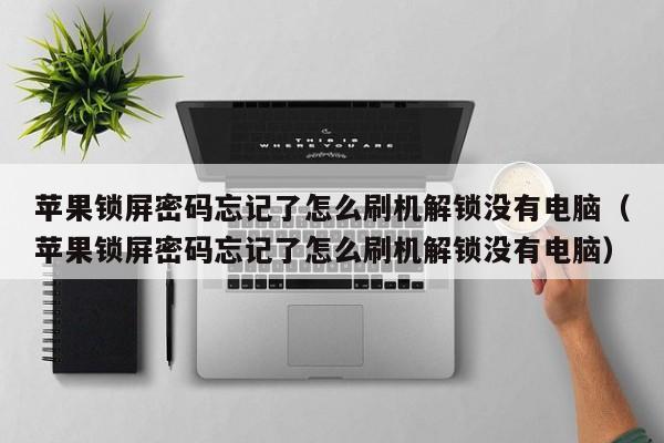 蘋果鎖屏密碼忘記了怎么刷機解鎖沒有電腦（蘋果鎖屏密碼忘記了怎么刷機解鎖沒有電腦）-第1張圖片-晉江速捷自動化科技有限公司
