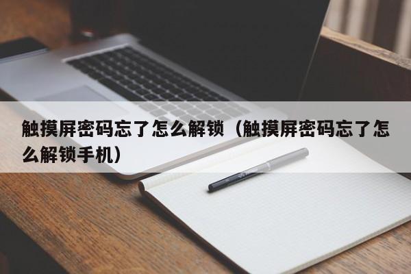 觸摸屏密碼忘了怎么解鎖（觸摸屏密碼忘了怎么解鎖手機）-第1張圖片-晉江速捷自動化科技有限公司