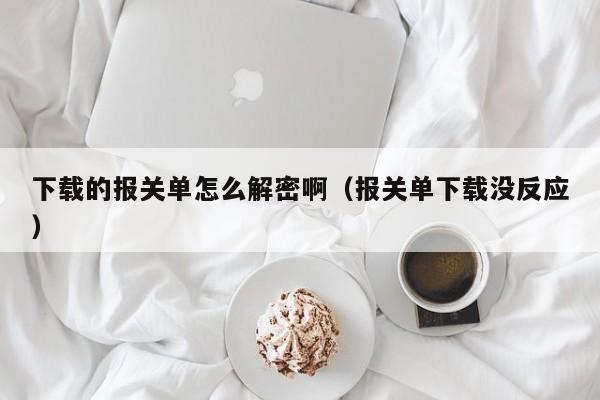 下載的報關單怎么解密啊（報關單下載沒反應）-第1張圖片-晉江速捷自動化科技有限公司