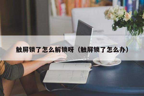 觸屏鎖了怎么解鎖呀（觸屏鎖了怎么辦）-第1張圖片-晉江速捷自動化科技有限公司