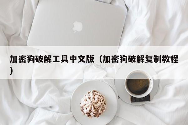 加密狗破解工具中文版（加密狗破解復制教程）-第1張圖片-晉江速捷自動化科技有限公司