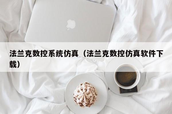 法蘭克數(shù)控系統(tǒng)仿真（法蘭克數(shù)控仿真軟件下載）-第1張圖片-晉江速捷自動(dòng)化科技有限公司