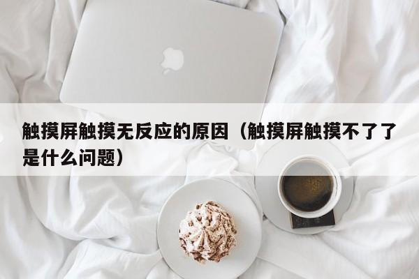觸摸屏觸摸無反應(yīng)的原因（觸摸屏觸摸不了了是什么問題）-第1張圖片-晉江速捷自動(dòng)化科技有限公司