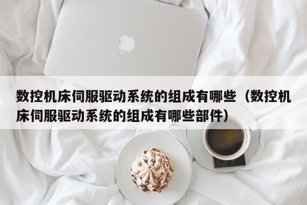 數控機床伺服驅動系統的組成有哪些（數控機床伺服驅動系統的組成有哪些部件）-第1張圖片-晉江速捷自動化科技有限公司