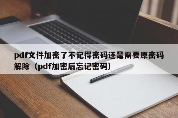 pdf文件加密了不記得密碼還是需要原密碼解除（pdf加密后忘記密碼）-第1張圖片-晉江速捷自動化科技有限公司