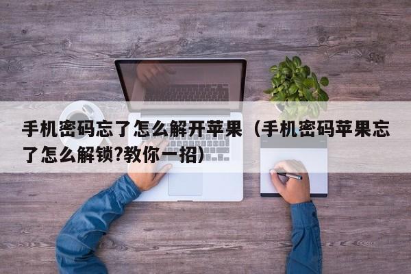 手機密碼忘了怎么解開蘋果（手機密碼蘋果忘了怎么解鎖?教你一招）-第1張圖片-晉江速捷自動化科技有限公司