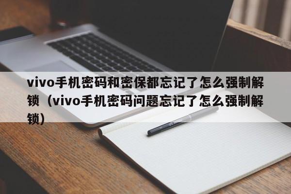 vivo手機密碼和密保都忘記了怎么強制解鎖（vivo手機密碼問題忘記了怎么強制解鎖）-第1張圖片-晉江速捷自動化科技有限公司