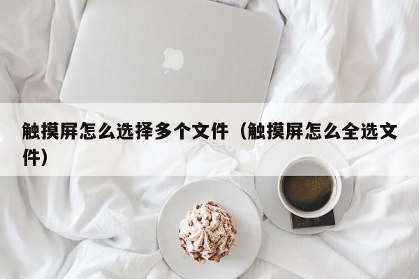 觸摸屏怎么選擇多個(gè)文件（觸摸屏怎么全選文件）-第1張圖片-晉江速捷自動(dòng)化科技有限公司