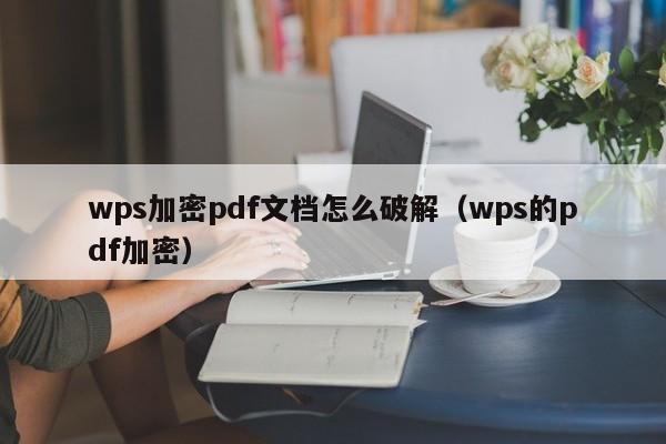 wps加密pdf文檔怎么破解（wps的pdf加密）-第1張圖片-晉江速捷自動化科技有限公司