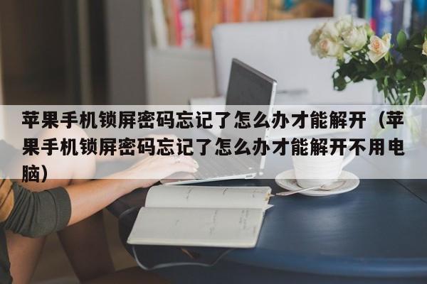 蘋果手機鎖屏密碼忘記了怎么辦才能解開（蘋果手機鎖屏密碼忘記了怎么辦才能解開不用電腦）-第1張圖片-晉江速捷自動化科技有限公司