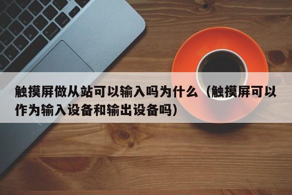 觸摸屏做從站可以輸入嗎為什么（觸摸屏可以作為輸入設備和輸出設備嗎）-第1張圖片-晉江速捷自動化科技有限公司