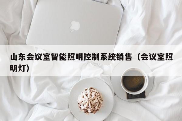 山東會議室智能照明控制系統銷售（會議室照明燈）-第1張圖片-晉江速捷自動化科技有限公司