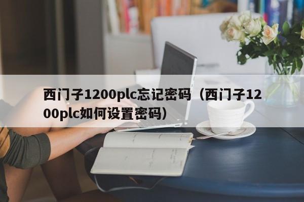 西門子1200plc忘記密碼（西門子1200plc如何設置密碼）-第1張圖片-晉江速捷自動化科技有限公司