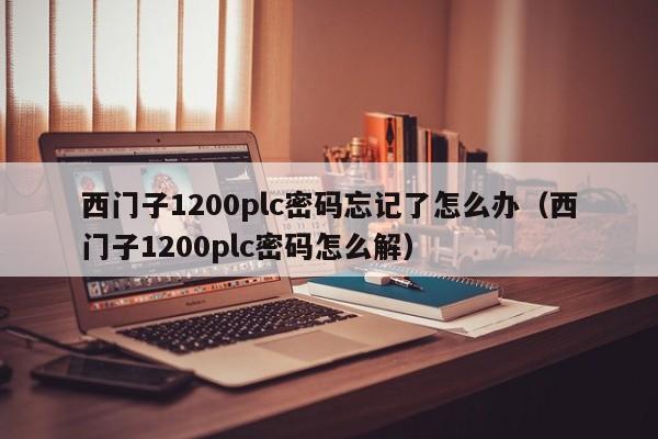 西門子1200plc密碼忘記了怎么辦（西門子1200plc密碼怎么解）-第1張圖片-晉江速捷自動化科技有限公司