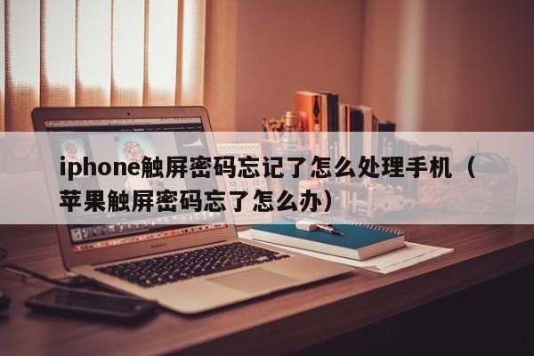 iphone觸屏密碼忘記了怎么處理手機（蘋果觸屏密碼忘了怎么辦）-第1張圖片-晉江速捷自動化科技有限公司