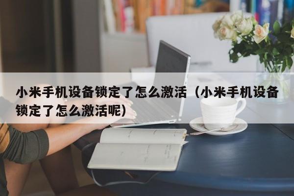 小米手機設備鎖定了怎么激活（小米手機設備鎖定了怎么激活呢）-第1張圖片-晉江速捷自動化科技有限公司