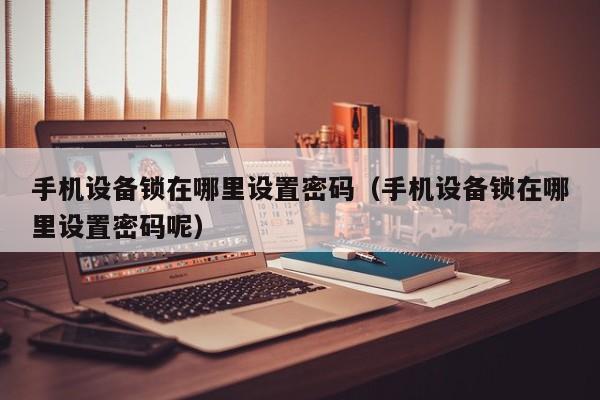 手機設備鎖在哪里設置密碼（手機設備鎖在哪里設置密碼呢）-第1張圖片-晉江速捷自動化科技有限公司