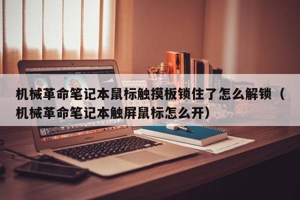 機械革命筆記本鼠標觸摸板鎖住了怎么解鎖（機械革命筆記本觸屏鼠標怎么開）-第1張圖片-晉江速捷自動化科技有限公司