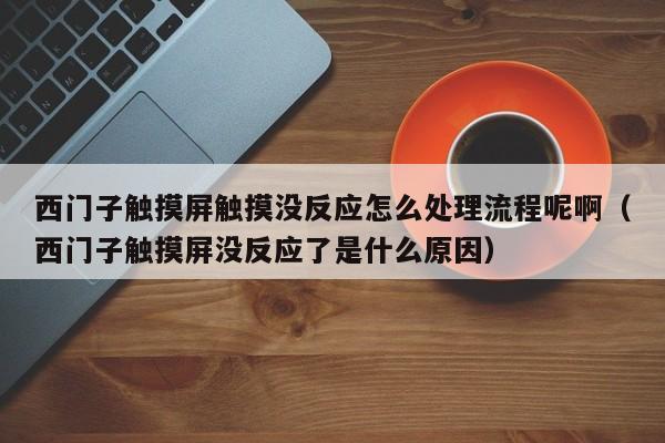 西門(mén)子觸摸屏觸摸沒(méi)反應(yīng)怎么處理流程呢啊（西門(mén)子觸摸屏沒(méi)反應(yīng)了是什么原因）-第1張圖片-晉江速捷自動(dòng)化科技有限公司