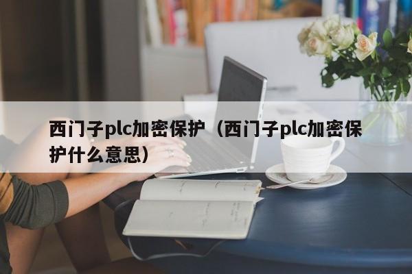 西門子plc加密保護（西門子plc加密保護什么意思）-第1張圖片-晉江速捷自動化科技有限公司
