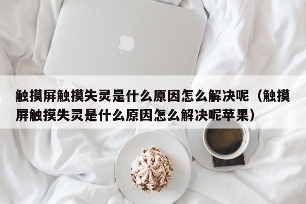 觸摸屏觸摸失靈是什么原因怎么解決呢（觸摸屏觸摸失靈是什么原因怎么解決呢蘋果）-第1張圖片-晉江速捷自動(dòng)化科技有限公司