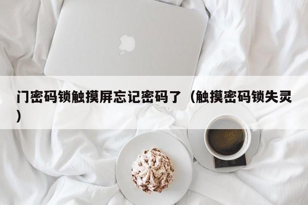 門密碼鎖觸摸屏忘記密碼了（觸摸密碼鎖失靈）-第1張圖片-晉江速捷自動化科技有限公司