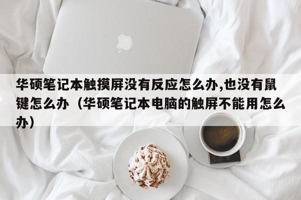 華碩筆記本觸摸屏沒有反應怎么辦,也沒有鼠鍵怎么辦（華碩筆記本電腦的觸屏不能用怎么辦）-第1張圖片-晉江速捷自動化科技有限公司
