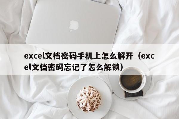 excel文檔密碼手機上怎么解開（excel文檔密碼忘記了怎么解鎖）-第1張圖片-晉江速捷自動化科技有限公司