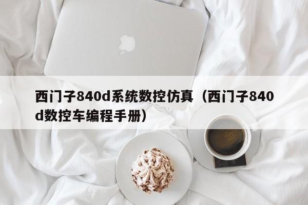 西門子840d系統數控仿真（西門子840d數控車編程手冊）-第1張圖片-晉江速捷自動化科技有限公司
